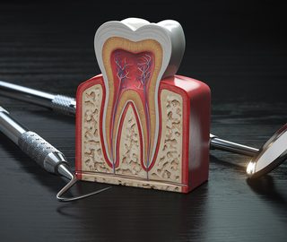 https://dentist-albania.com/wp-content/uploads/2021/10/Webp.net-resizeimage-4-320x270.jpg